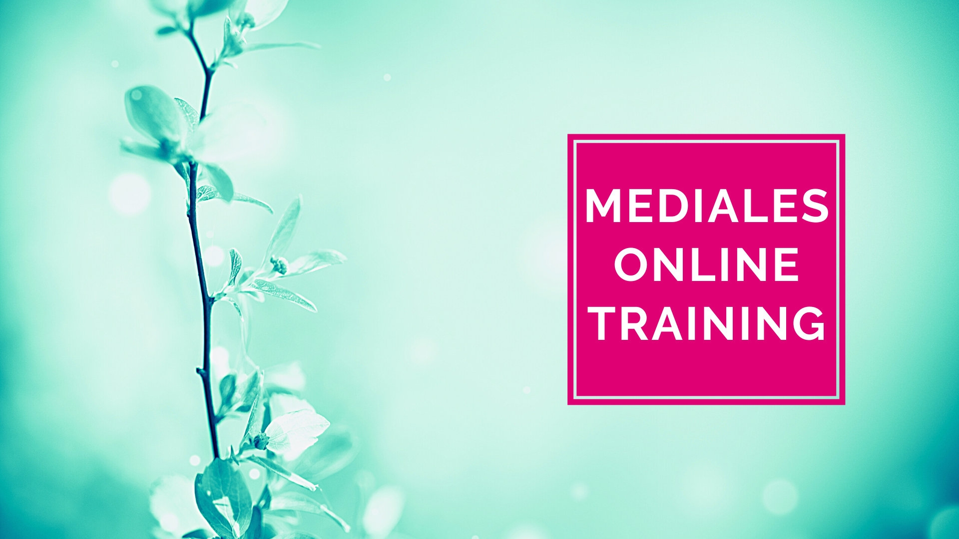 Mediales online Training